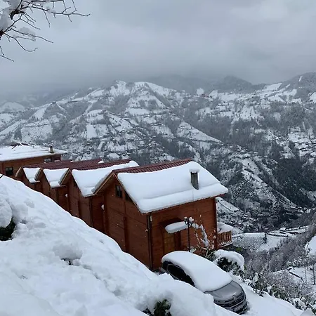 Apart Otel Haşımoğlu Oşvacu Dağ Evlerı
