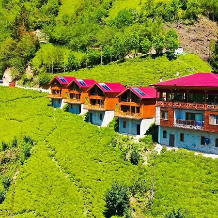 Osvacu Aparthotel *