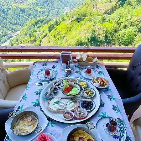 Aparthotel Osvacu *
